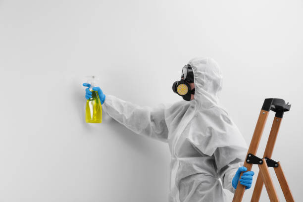 Best Mold Prevention Services  in Beverly, OH